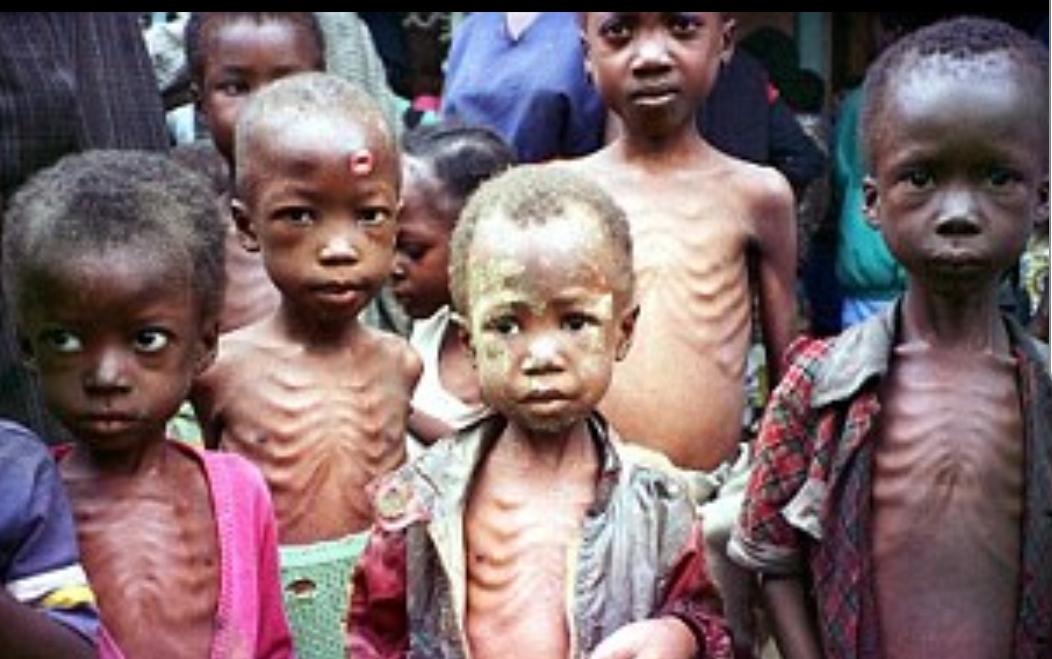 Screenshot_20190403-120026_Samsung Internet